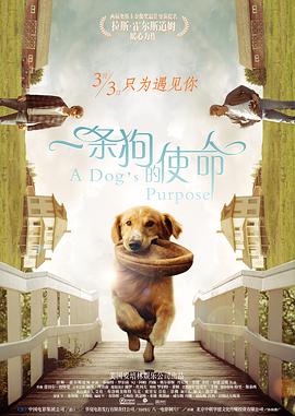 国产成人亚洲精品无广告
