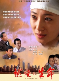 精品中文字幕在线