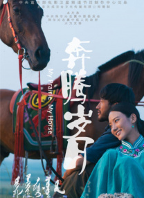 日日日日操